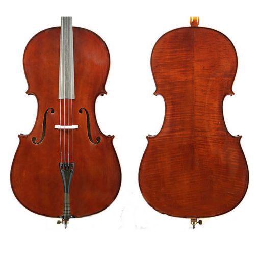 Enrico Full Size Cello