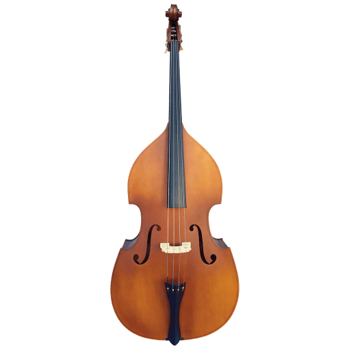 Vivo Double Bass