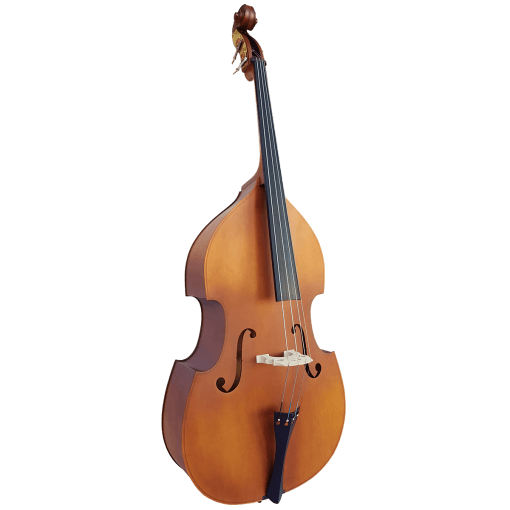 Vivo Double Bass