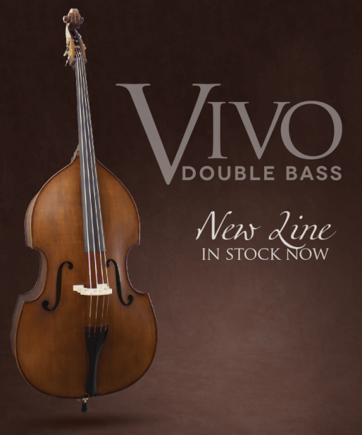 Vivo Double Bass