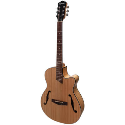 Martinez Jazz Hybrid Acoustic Electric Guitar - Mindi Wood