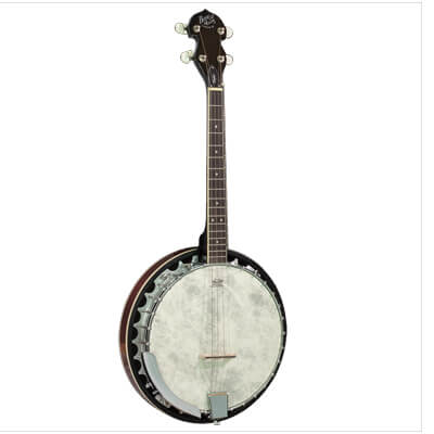 Barnes and Mullins BJ304GT Gaelic 4 String Tenor Banjo
